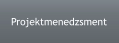 Projektmenedzsment