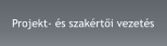 Projekt- és szakértői vezetés