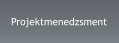 Projektmenedzsment