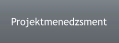 Projektmenedzsment