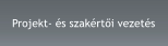 Projekt- és szakértői vezetés