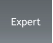Expert