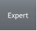 Expert