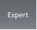 Expert