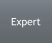 Expert