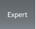 Expert
