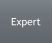 Expert